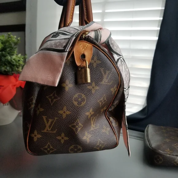 LOUIS VUITTON Classic Speedy25Monogram pr